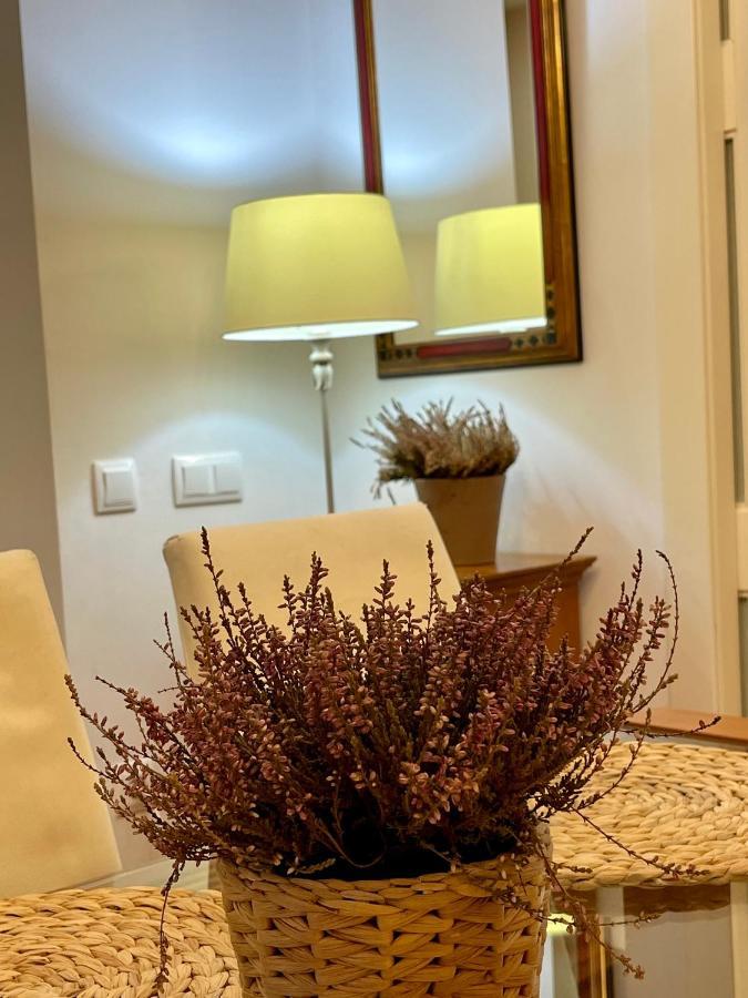 Appartement Atico Al Lado Del Ayuntamiento à Oviede Extérieur photo